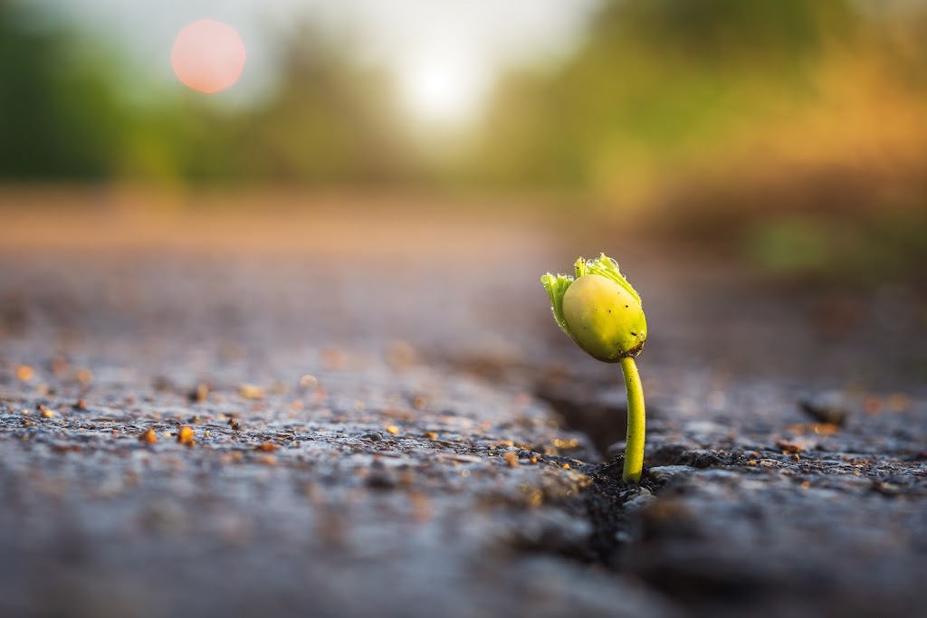Tracy Myers Family Counselling and Consulting | 170 Wallace St, Nanaimo, BC V9R 5B1, Canada | Phone: (250) 327-1444