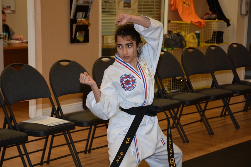 Alpha Martial Arts Inc. | 8880 202 St. #7, Langley, BC V1M 4E7, Canada | Phone: (604) 888-6645