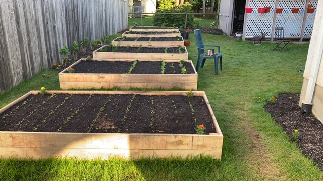 Tyson Landscaping | 34752 Mierau St, Abbotsford, BC V2S 5Y4, Canada | Phone: (778) 779-3966