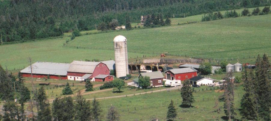 Sandy Acres Farm | 4154 ON-11 RR5, Murillo, ON P0T 2G0, Canada | Phone: (807) 939-2742
