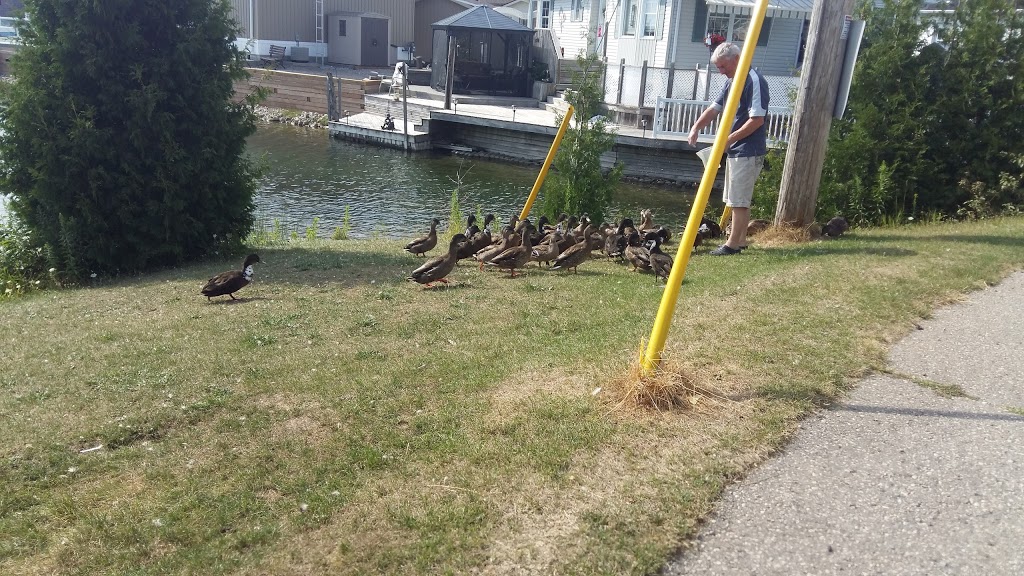 Mini Lakes | 7541 Wellington Road 34, Guelph, ON N1H 6H9, Canada