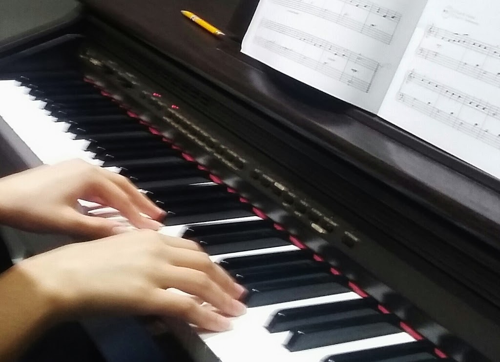Binoys School of Symphonic music | 14270 Hawkstream Dr, Surrey, BC V3W 0V1, Canada | Phone: (778) 565-0322