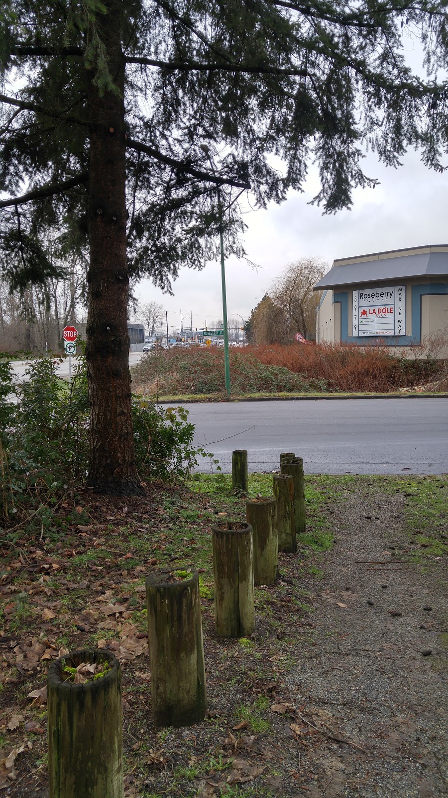 Kaymar Creek Ravine Park | 8050 Kaymar Dr, Burnaby, BC V5J 3N1, Canada