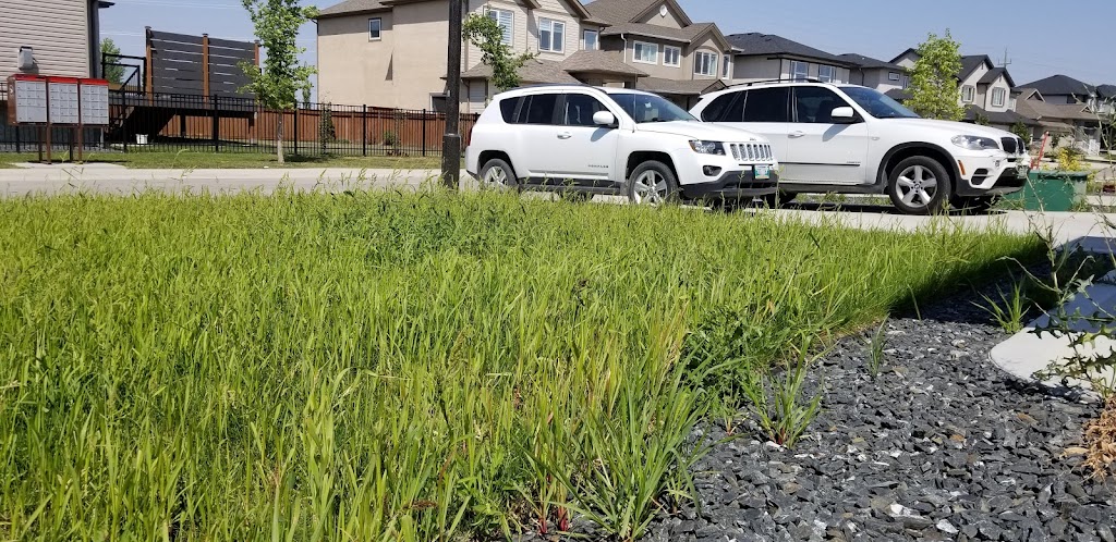 Delta Landscaping Inc. | 23 Henry Pehrson Cove, Winnipeg, MB R2N 3C1, Canada | Phone: (204) 232-2233