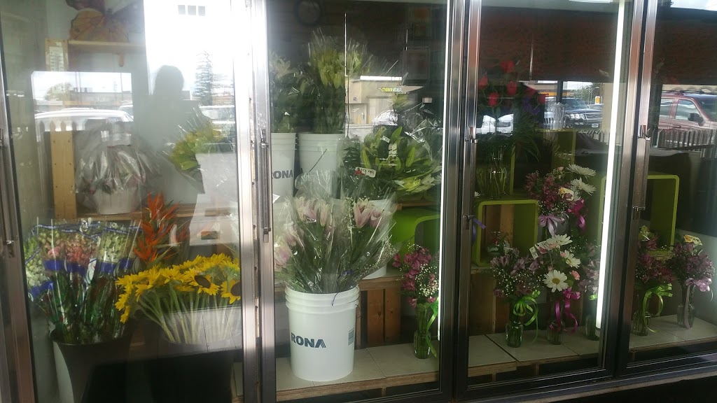 Grower Direct Acadia | 341 Heritage Dr SE, Calgary, AB T2H 1M8, Canada | Phone: (403) 255-8221