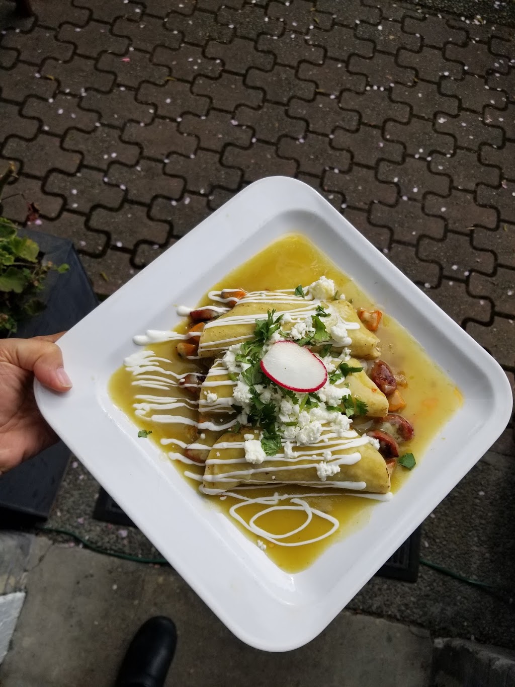 Mesa Familiar | 1296 Gladstone Ave, Victoria, BC V8T 1G6, Canada | Phone: (778) 265-4725