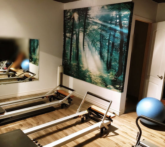 Equilibre Et Vous Pilates | 13625 Rue des Saules, Mirabel, QC J7N 3G1, Canada | Phone: (450) 971-1677