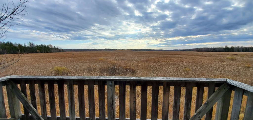 Miller Creek Wildlife Area | 1150 7 Line, Bridgenorth, ON K0L 1H0, Canada | Phone: (705) 745-5791