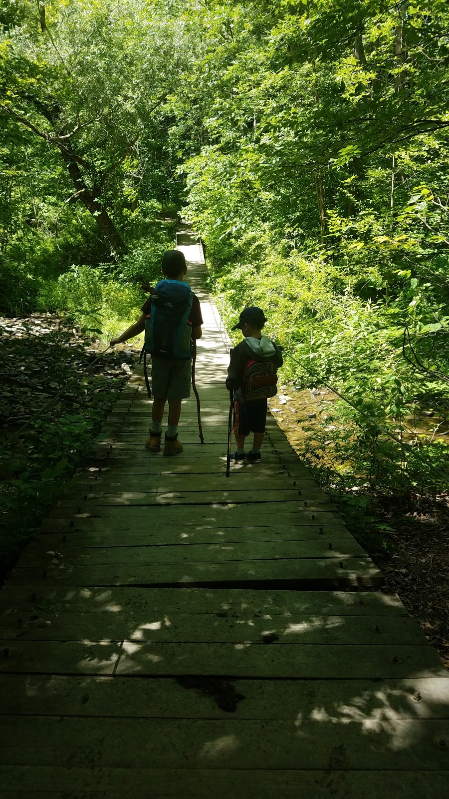 Niagara Royalton Ravine Park | Gasport Rd, Gasport, NY 14067, USA | Phone: (716) 772-2016