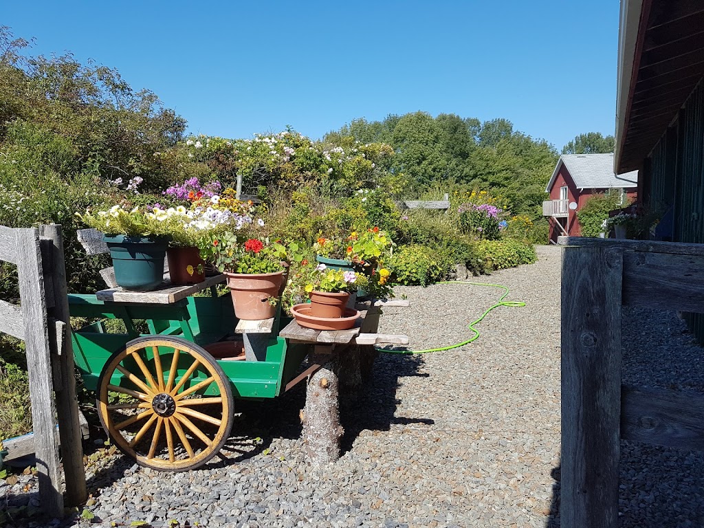 Old Barn Galleries, Gardens, Decor & Antiques. | Exit 35B Off trans Canada east, 71 Melanson Rd, Antigonish, NS B2G 2L4, Canada | Phone: (902) 386-2304