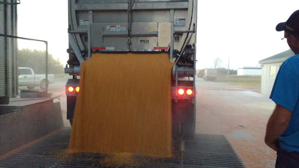 Reesor Elevators - Port Perry | 1256 Scugog Line 6, Port Perry, ON L9L 1B5, Canada | Phone: (905) 985-7007