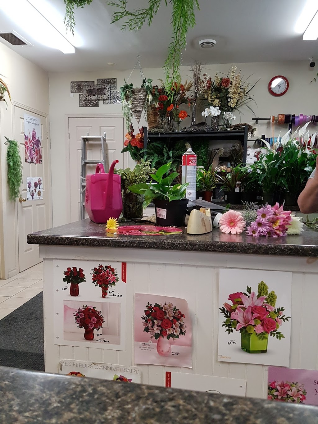 Fleuriste Au Bouquet | 126 Avenue Gatineau, Gatineau, QC J8T 4J6, Canada | Phone: (819) 568-4540