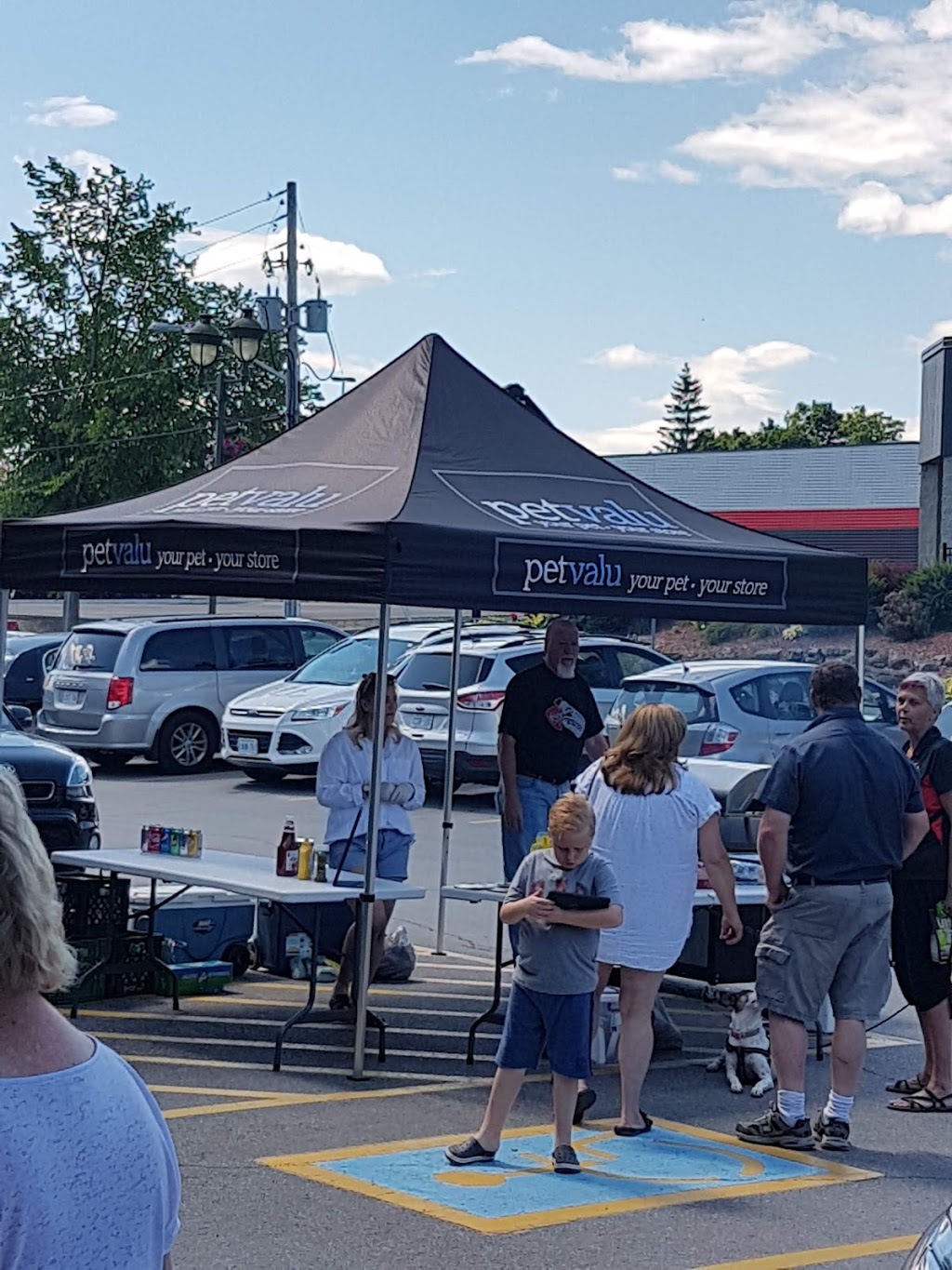 Pet Valu | 39 Lansdowne Ave, Carleton Place, ON K7C 3S9, Canada | Phone: (613) 253-8400
