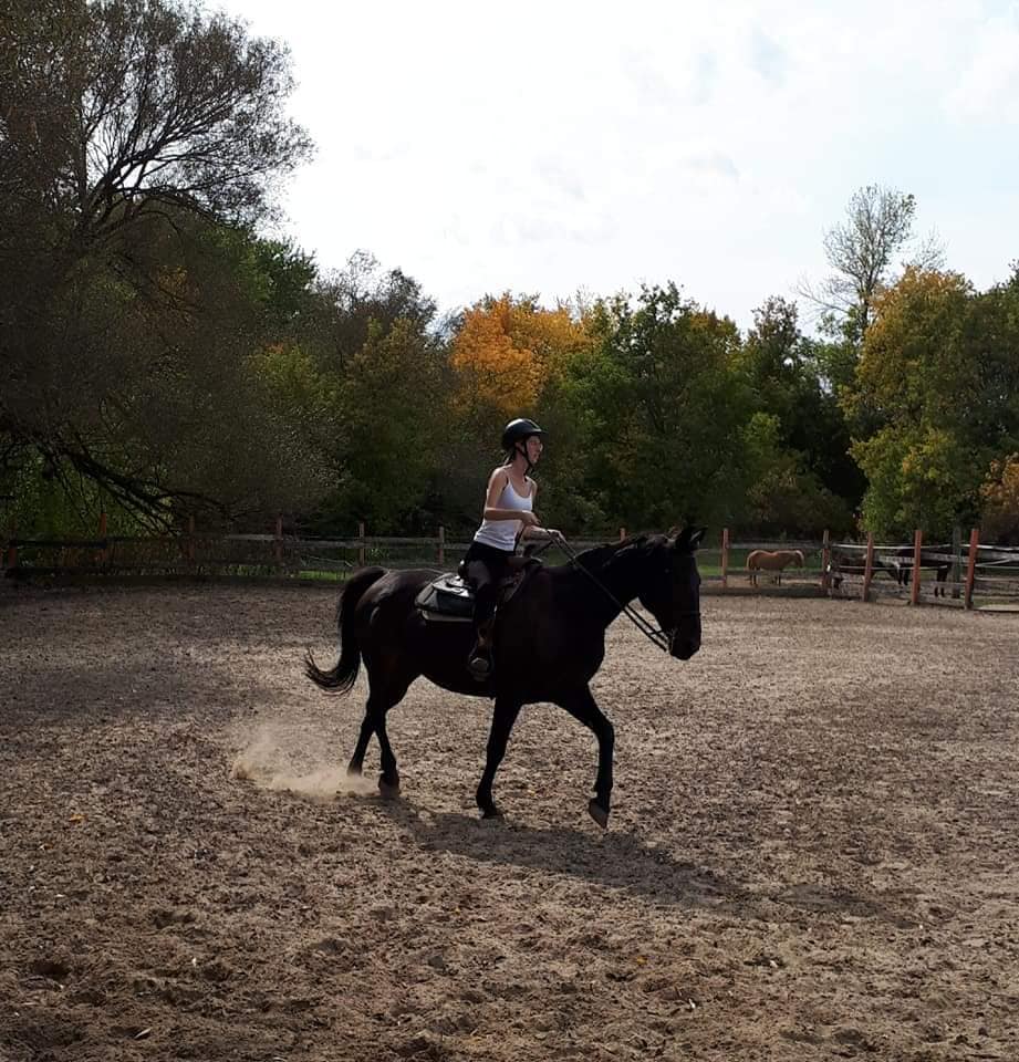 Equestrian Center Cl | 1135 Rue Pernaud, Saint-Lin - Laurentides, QC J5M 1G9, Canada | Phone: (438) 993-9349