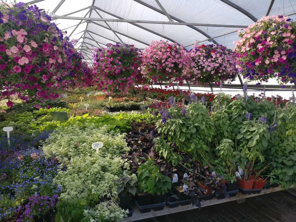 Sandhu Greenhouses | 9707 128 Ave, Osoyoos, BC V0H 1V2, Canada | Phone: (250) 689-0234