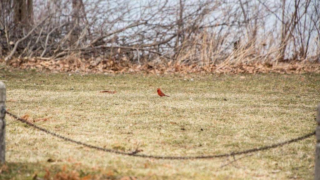 Princess Point | Dundurn B, Hamilton, ON L8S, Canada