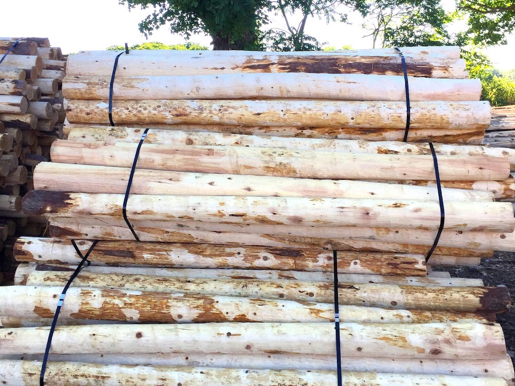 Hayes Timber Inc. | 7 N Diagonal, Hepworth, ON N0H 1P0, Canada | Phone: (519) 534-2067