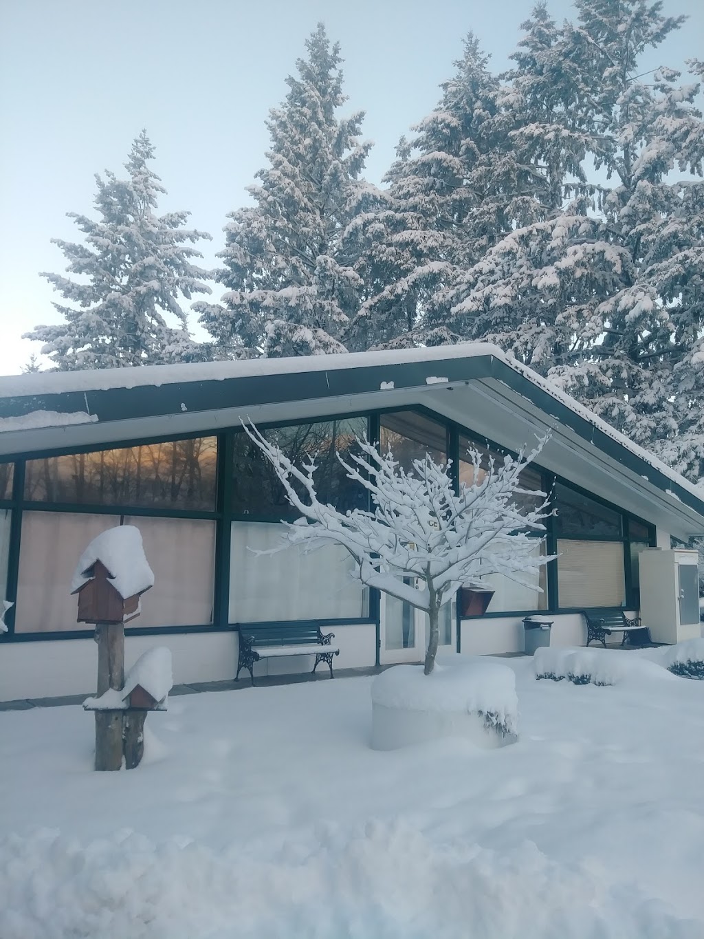 Dogwood Campgrounds & RV Park | 15151 112 Ave, Surrey, BC V3R 6G8, Canada | Phone: (604) 583-5585