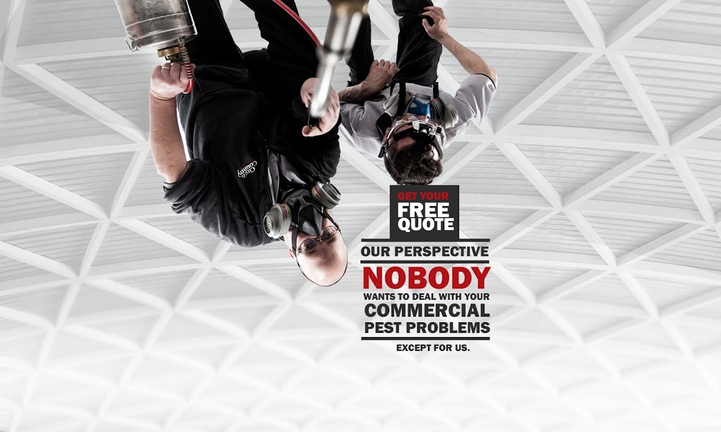City And Country Pest Control | 28 Westwyn Ct #6, Brampton, ON L6T 4T5, Canada | Phone: (905) 455-1102
