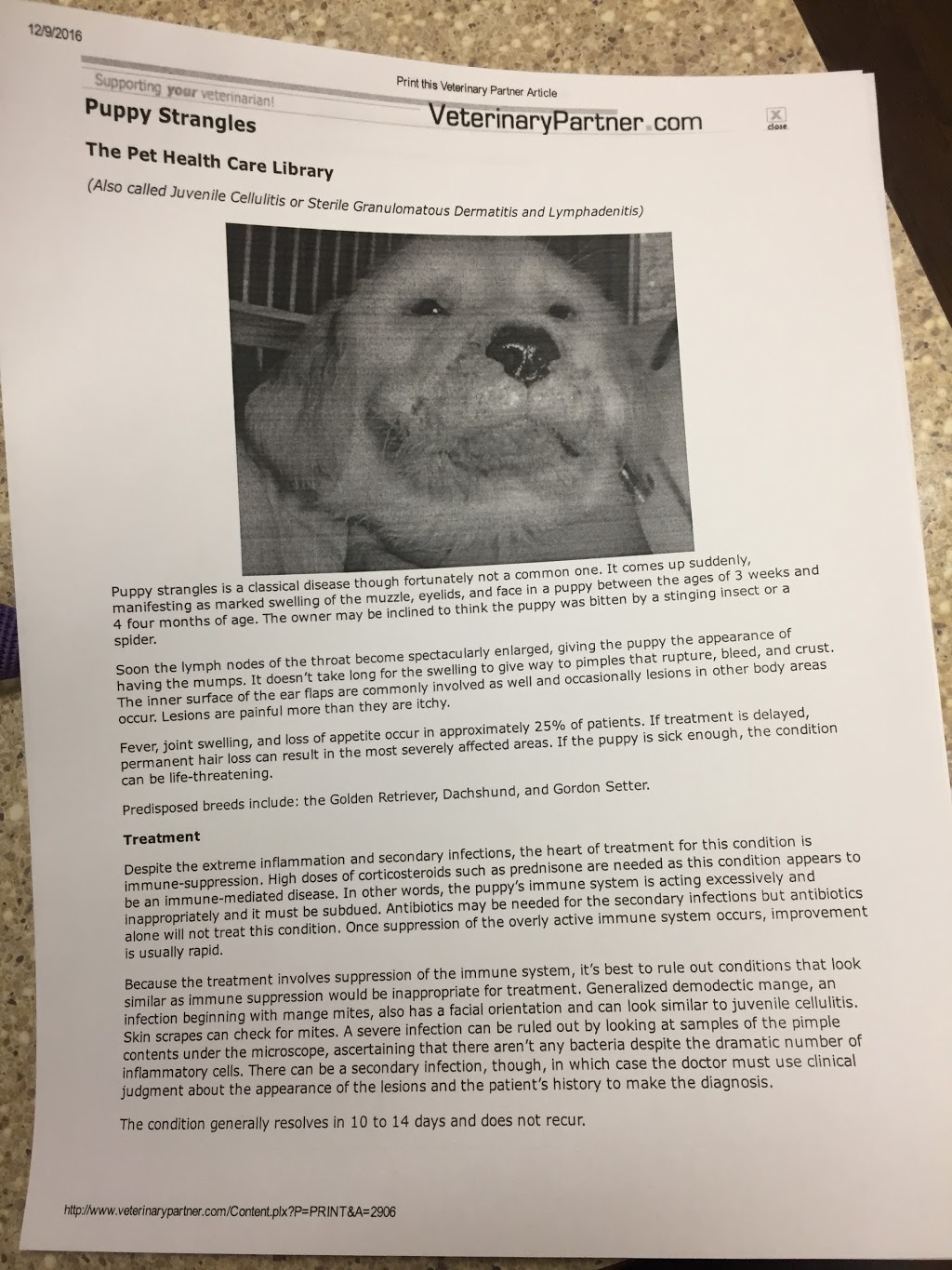 Cambrian Animal Hospital Ltd | 765 Northmount Dr NW, Calgary, AB T2L 0A1, Canada | Phone: (403) 457-3911