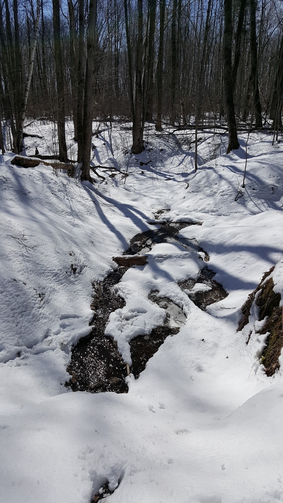 NCC Greenbelt P20 | 2617 Anderson Rd, Orléans, ON K1A 0E7, Canada