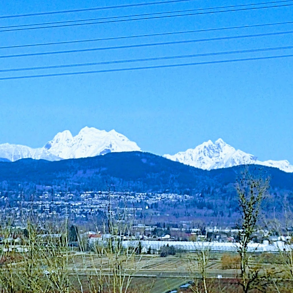 Blue Valley Window Cleaning | 34332 Maclure Rd #75, Abbotsford, BC V2S 7S8, Canada | Phone: (604) 897-1005