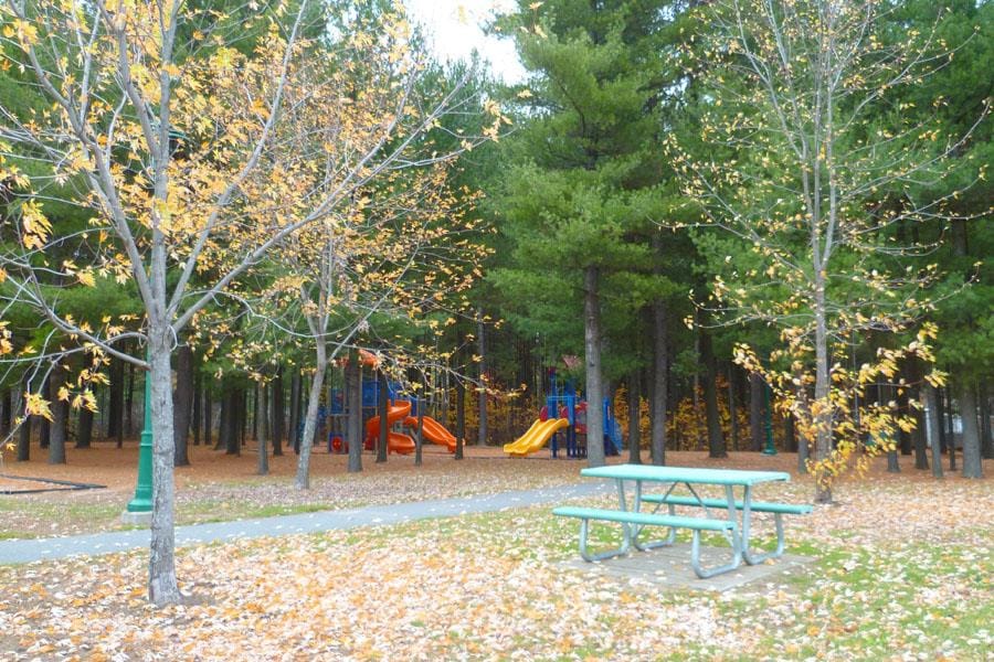 Parc des Grives | 1009 Rue des Grives, Trois-Rivières, QC G8V 2P2, Canada