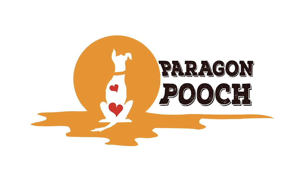 Paragon Pooch CPDT-KA | 80 Chemin Moulton Hill, Sherbrooke, QC J1M 2K4, Canada | Phone: (819) 919-3486