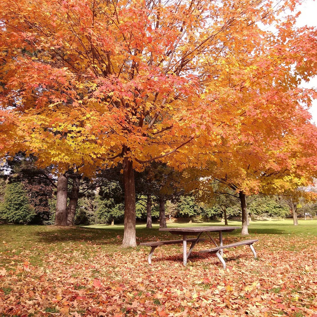 Fleetwood Park | 2000 Burnhamthorpe Rd E, Mississauga, ON L4X 2S8, Canada | Phone: (905) 615-4311