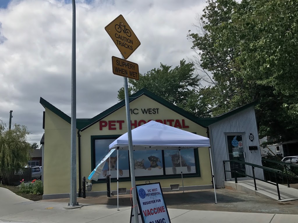 Vic West Pet Hospital | 526 Esquimalt Rd, Victoria, BC V9A 3L4, Canada | Phone: (778) 265-4500