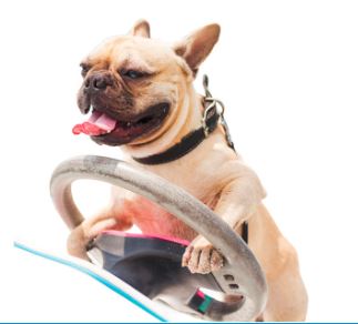 MD Marine Insurance | 4 King St, Orillia, ON L3V 1R1, Canada | Phone: (877) 627-4633