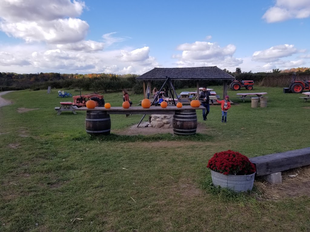 Carl Laidlaw Orchards | 9496 Heritage Rd, Brampton, ON L6X 0A1, Canada | Phone: (905) 456-2095