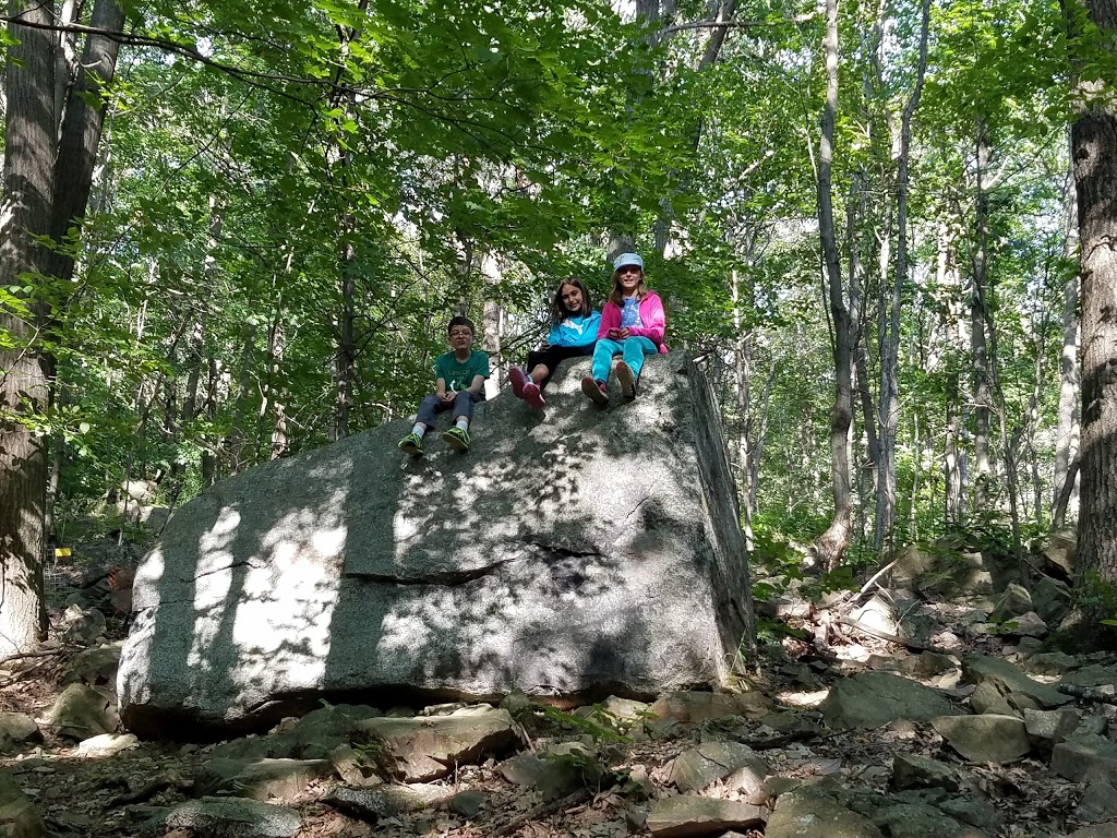Arbraska | 45 Chemin du Sous-Bois, Mont-Saint-Grégoire, QC J0J 1K0, Canada | Phone: (450) 358-8999