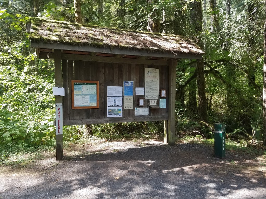 Douglas Fir Campground | Mt Baker Hwy, Deming, WA 98244, USA | Phone: (541) 338-7869
