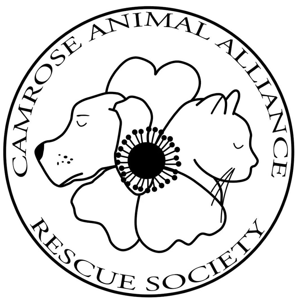 Camrose Animal alliance rescue society | 5223 48 St, Camrose, AB T4V 1M2, Canada | Phone: (587) 322-1060