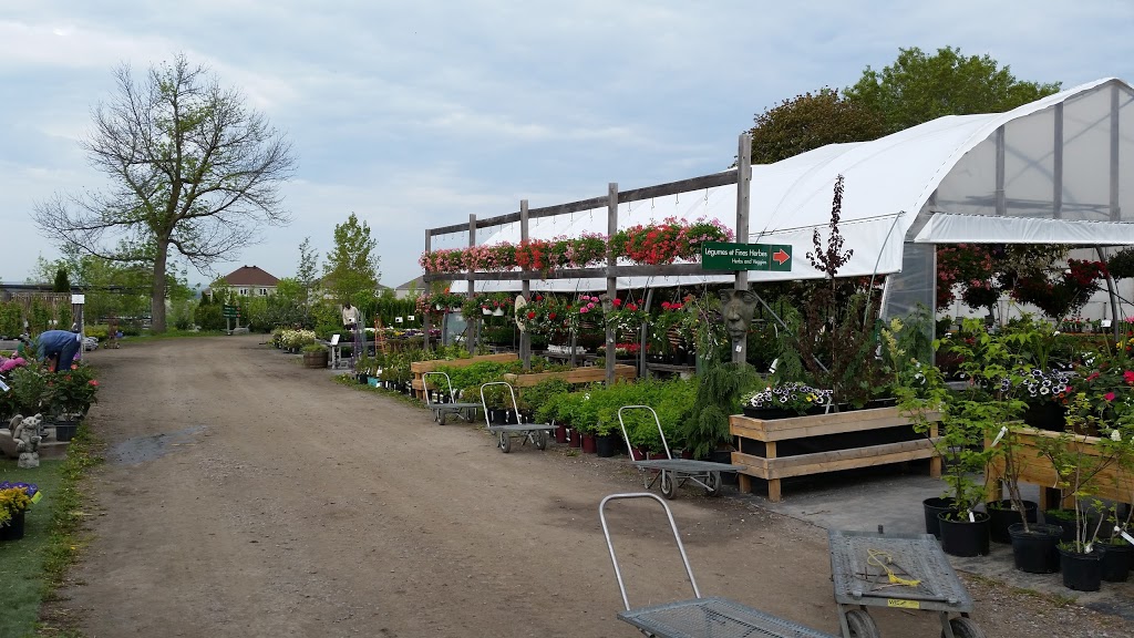 Bio Horticentre Méristème | 235 Chemin Eardley, Gatineau, QC J9J 2Y8, Canada | Phone: (819) 684-6969