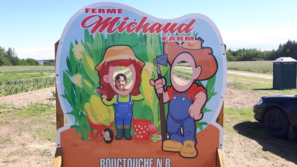 La Ferme Michaud Ltée. / Michaud Farm Ltd. | 739, NB-475, Baie de Bouctouche, NB E4S 4N9, Canada | Phone: (506) 743-6947