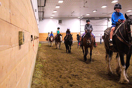 Birch Bay Ranch | 51505 Range Rd 215, Sherwood Park, AB T8E 1H1, Canada | Phone: (780) 922-2883