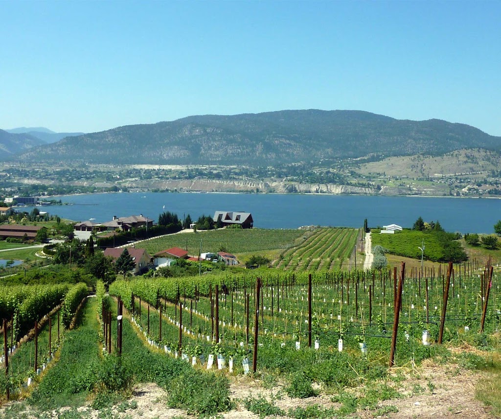 Naramata Laser & Skin Tightening | 1230 Evans Ave, Penticton, BC V2A 8V1, Canada | Phone: (250) 462-9553