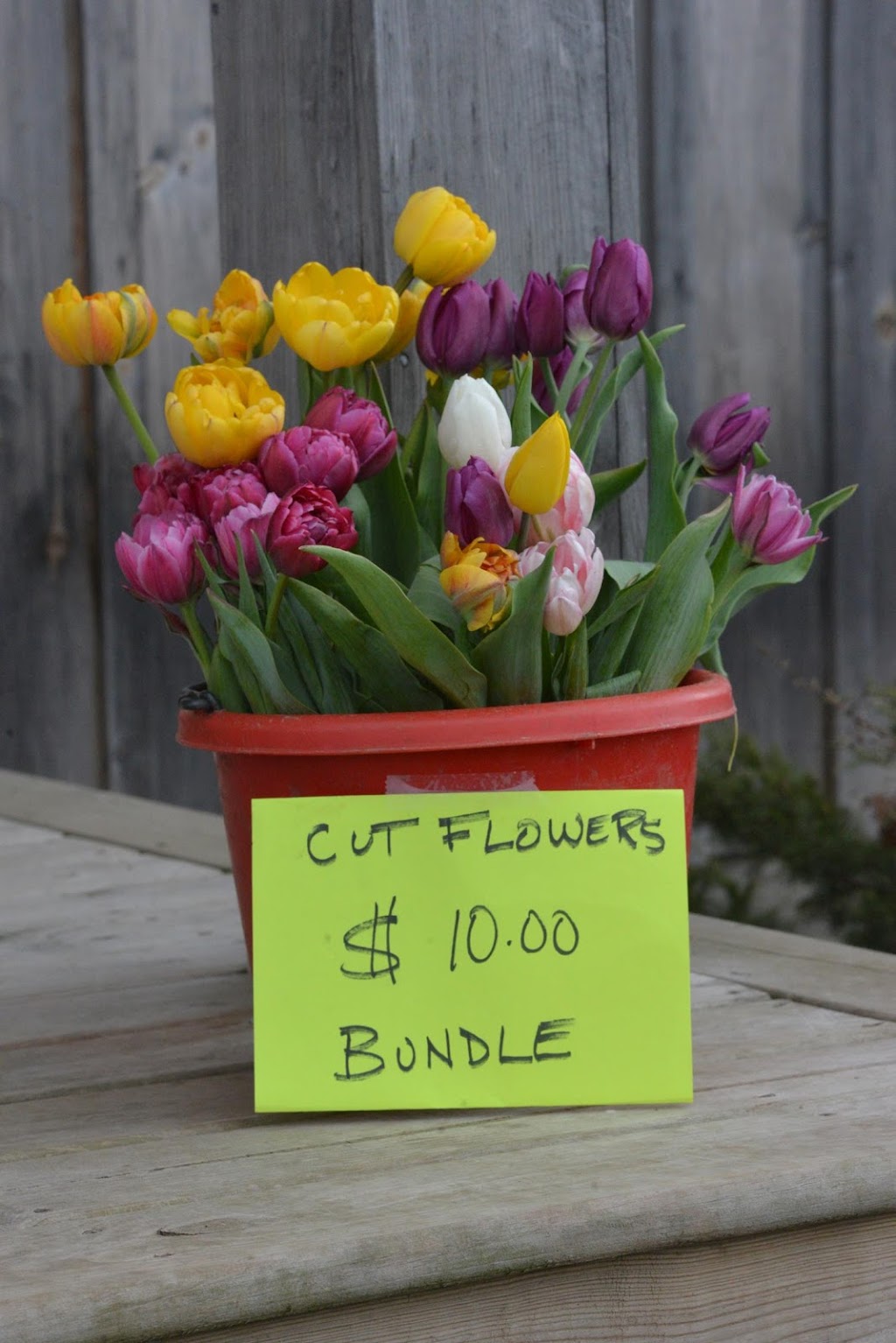 Slice of Paradise Farm | 12527 Fifth Line Nassagaweya, Rockwood, ON N0B 2K0, Canada | Phone: (519) 853-0580