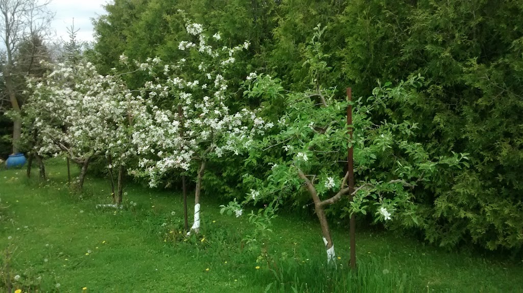 Awesome Berries & Gardens | 7505 Northville Rd, Thedford, ON N0M 2N0, Canada | Phone: (519) 828-3872