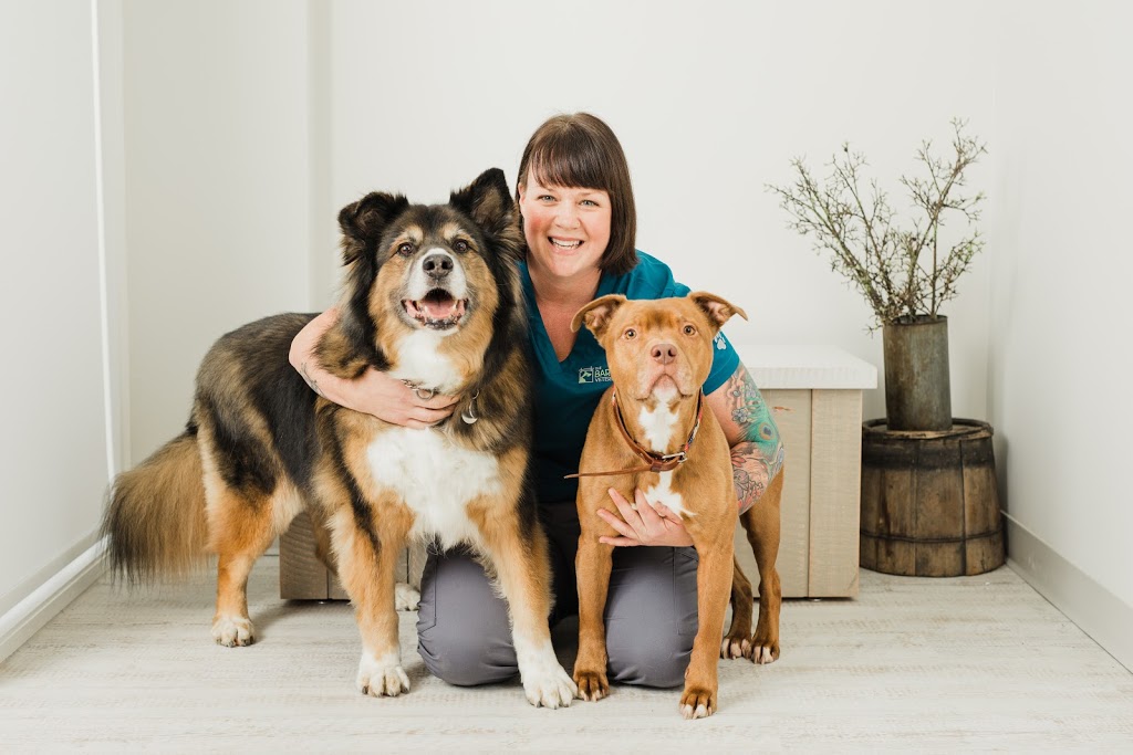 The Barn Door Veterinary Care | 1410 Parkway Blvd, Coquitlam, BC V3E 3J7, Canada | Phone: (604) 227-3111