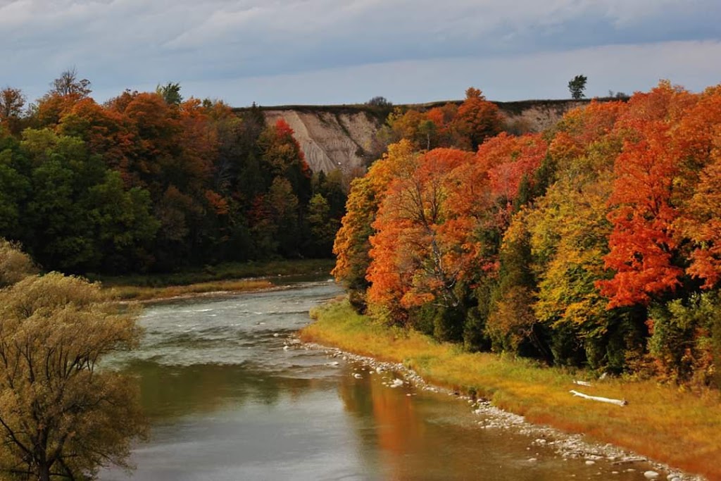 Saugeen Bluffs Conservation Area | 132 Saugeen Bluffs Rd, Paisley, ON N0G 2N0, Canada | Phone: (519) 353-7206