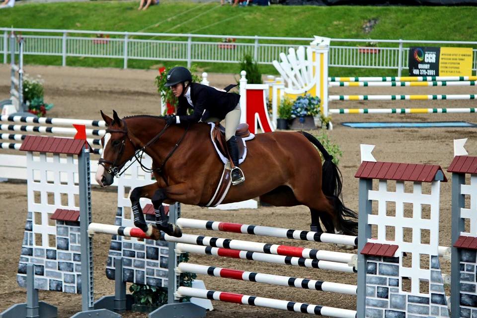 Allardyce Farm/Hemmingford Equestrian Center | 459 Chem. Lavallée, Hemmingford, QC J0L 1H0, Canada | Phone: (514) 238-9787