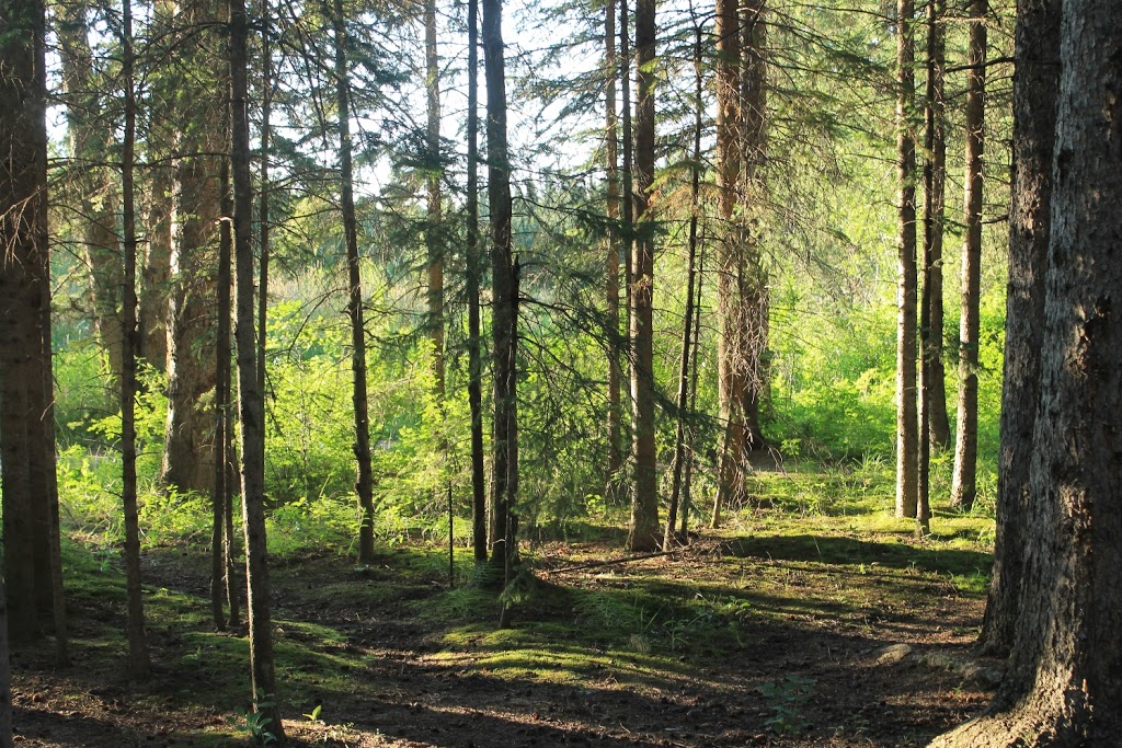Camping Red Lodge Provincial Park | Spruce View, AB T0M 1V0, Canada | Phone: (403) 224-2547