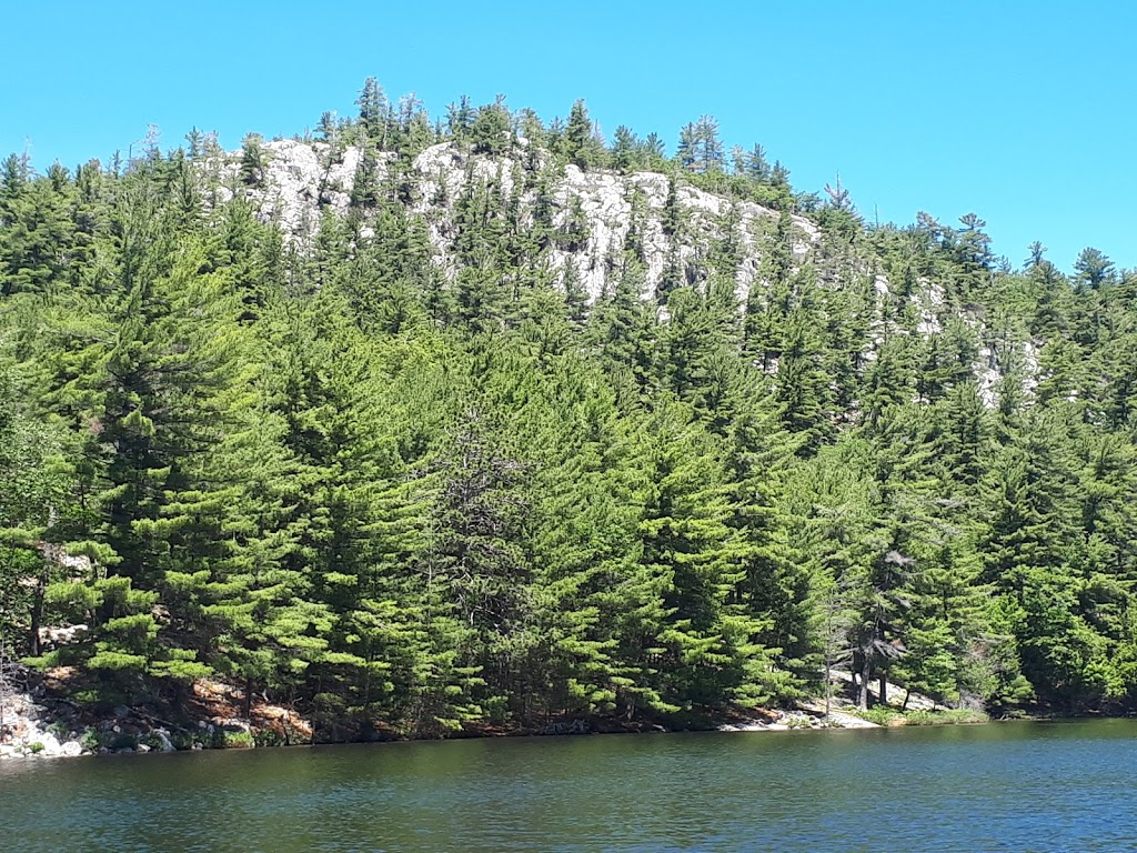 Bearskin Lodge & Outfitters | 1068 Lake St, Whitefish Falls, ON P0P 2H0, Canada | Phone: (705) 285-4540