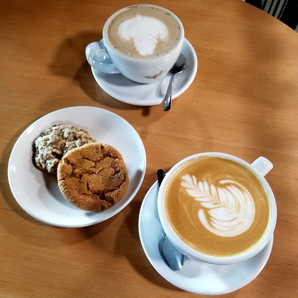 Transcend Coffee and Roastery | 9570 76 Ave NW Suite 100, Edmonton, AB T6C 0K2, Canada | Phone: (780) 430-9198