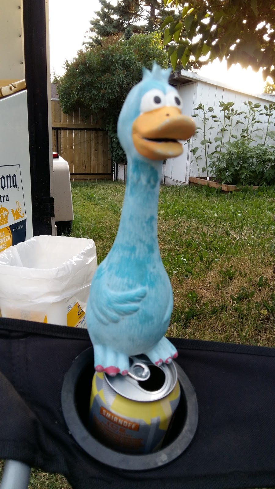 Saint Rose of Lima Junior High School | 2419 50 St NE, Calgary, AB T1Y 1Z5, Canada | Phone: (403) 500-2071