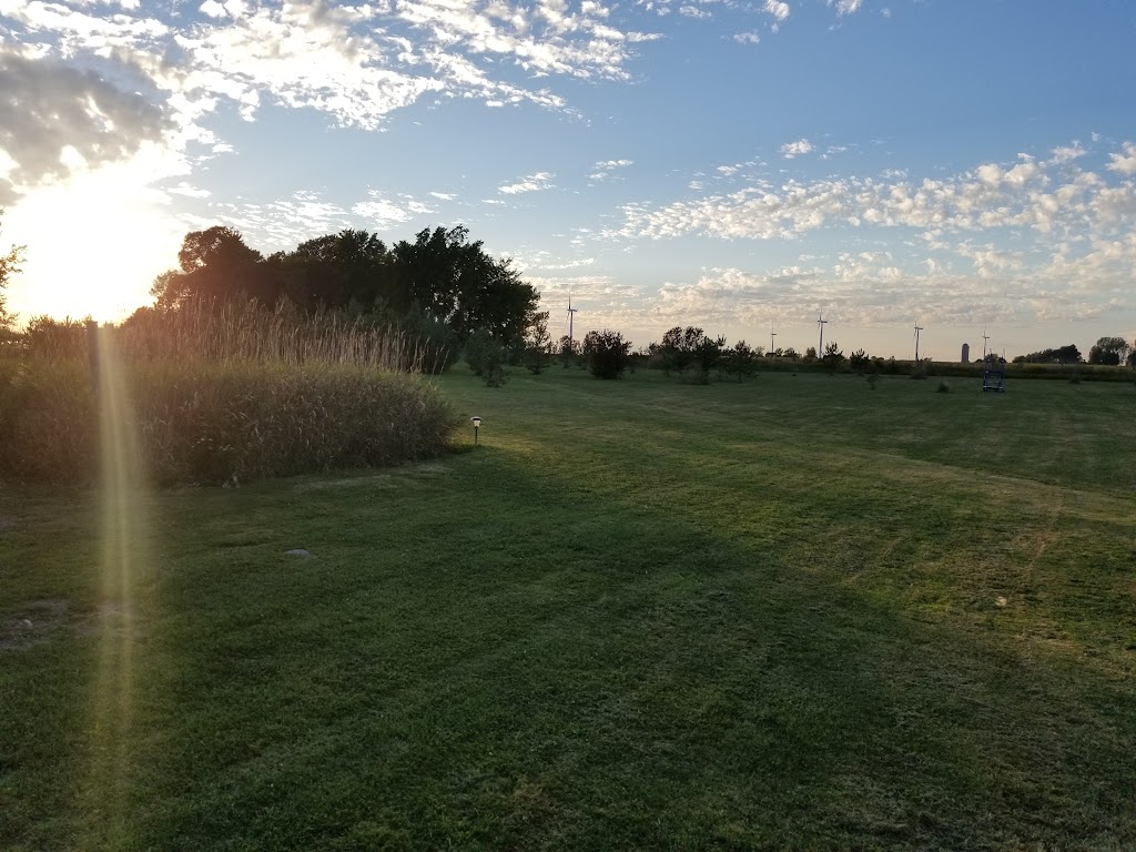 Corn Maze on Wolfe Island | 607 Rd 95 Wolfe Island, Frontenac Islands, ON K0H 2Y0, Canada | Phone: (613) 385-1998