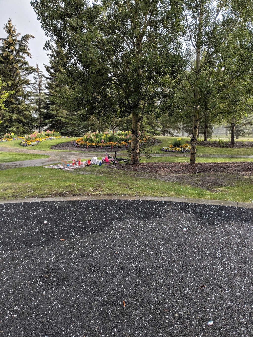 Variety Childrens Park | 90 avenue & 24 street, Calgary, AB T2V, Canada